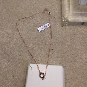 Coach Rose Gold Chain Necklace