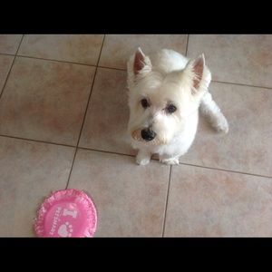 Meet your Posher, Kathy