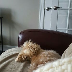 Meet your Posher, Sharon