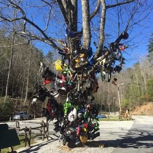 Meet your Posher, Nathan