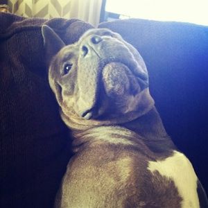 Meet your Posher, Tracey