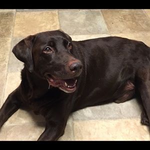 Meet your Posher, Carol