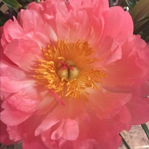 Meet your Posher, Karin