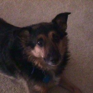 Meet your Posher, Jana