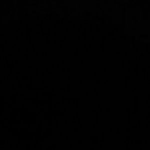 Meet your Posher, Jasmire