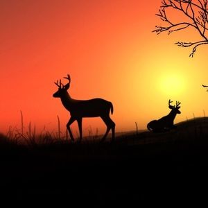 Meet your Posher, Marc