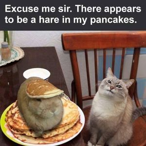 Meet your Posher, Kristi