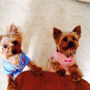 Meet your Posher, Linda