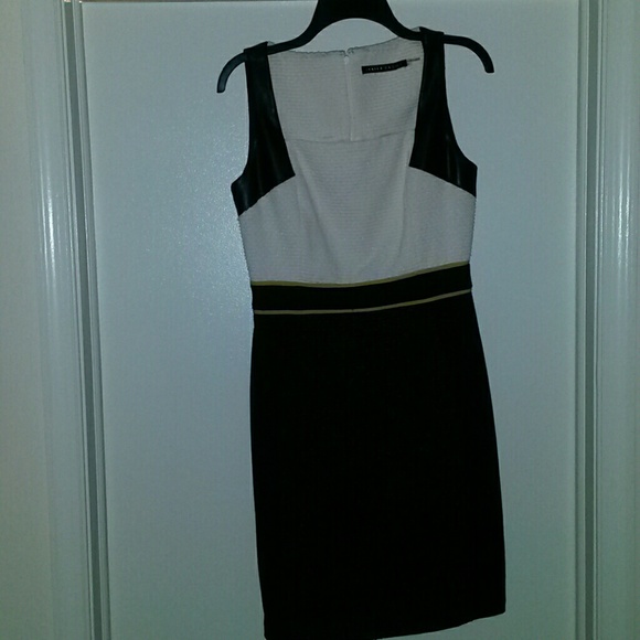 Ivanka Trump Fitted Dress- worn once