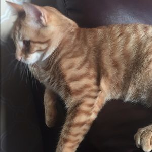 Meet your Posher, Laura