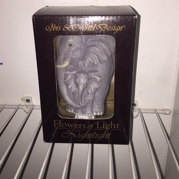 Ibis and orchid design night light