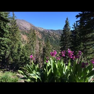 Meet your Posher, Nancy