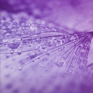 Meet your Posher, Xavier