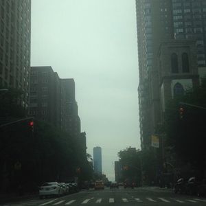 Meet your Posher, Bella