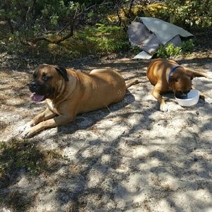 Meet your Posher, Shanna