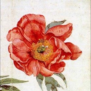 Meet your Posher, Briar