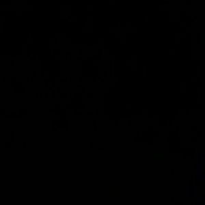 Meet your Posher, Nevaeh