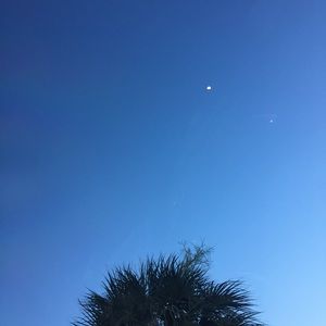 Meet your Posher, Camilla