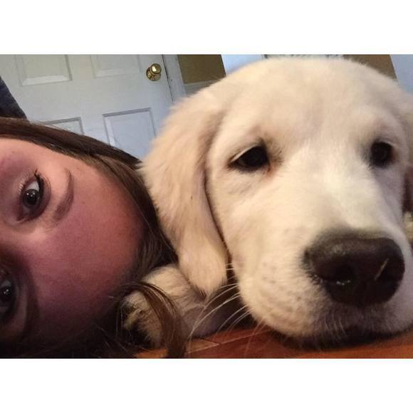 Meet your Posher, Grace - Picture 1 of 1