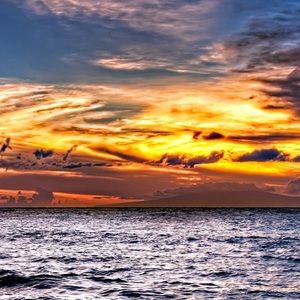 Meet your Posher, Marina