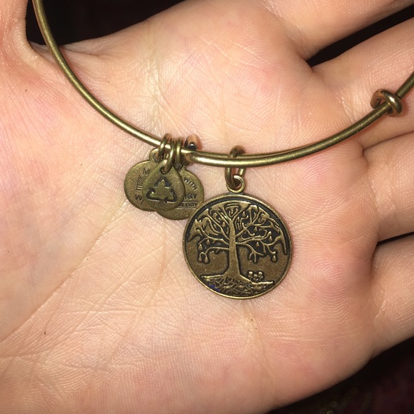 Alex & Ani bracelet