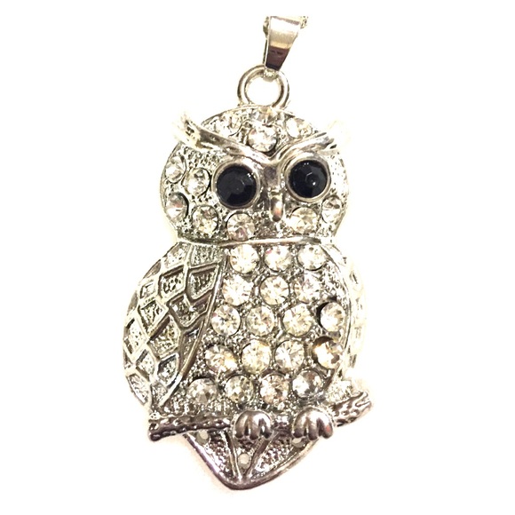 Owl Necklace!