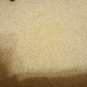 Meet your Posher, Marie