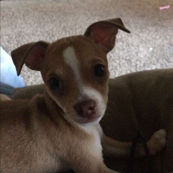 Meet your Posher, Heather - Picture 4 of 5