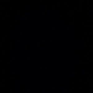 Meet your Posher, Lama