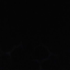 Meet your Posher, Sylvis