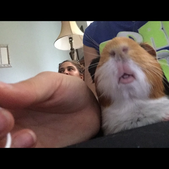 Meet your Posher, Marisol - Picture 1 of 1