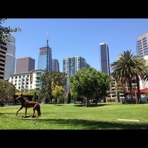 Meet your Posher, Jasmine