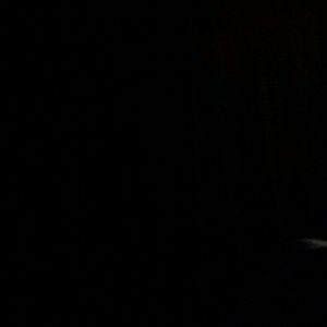 Meet your Posher, Brittney