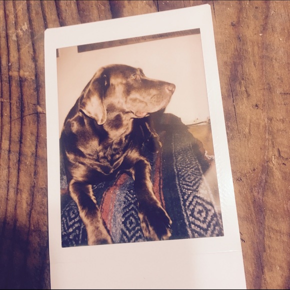 Meet your Posher, Ella