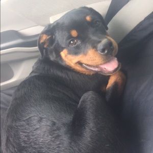 Meet your Posher, Alandria