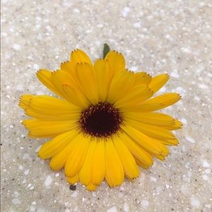 Meet your Posher, Judy