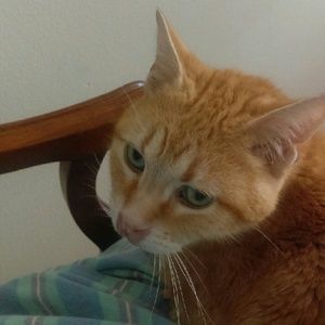 Meet your Posher, Susanne