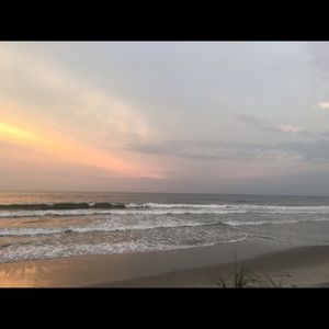 Meet your Posher, Palm