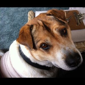 Meet your Posher, Charles