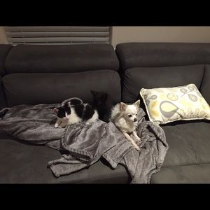 Meet your Posher, Ming