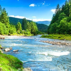 Meet your Posher, Whitney