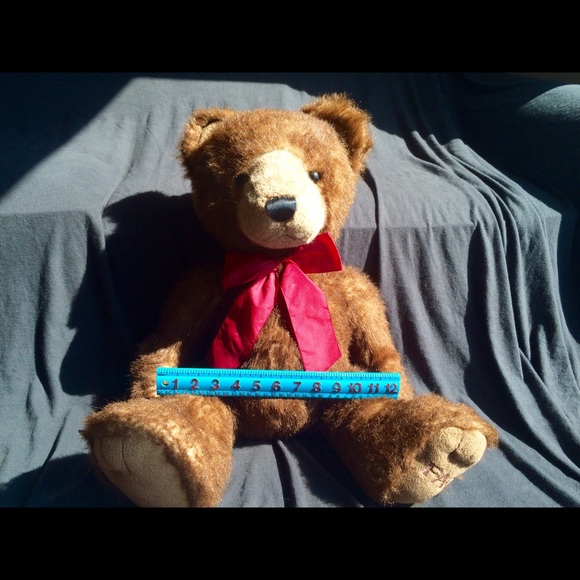 FAO Teddy Bear 🐻