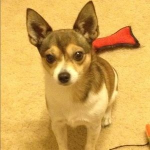 Meet your Posher, Veronica