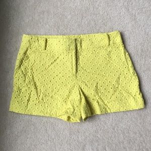 Loft shorts