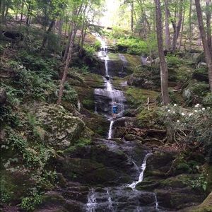 Meet your Posher, Dawn