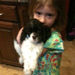 Meet your Posher, Sharon