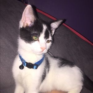 Meet your Posher, Haley