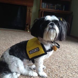 Meet your Posher, Mary beth