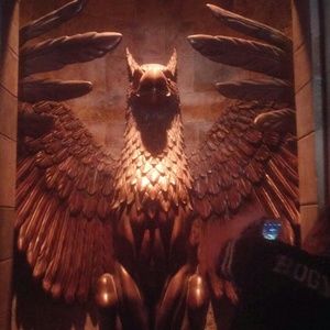 Meet your Posher, Shelly