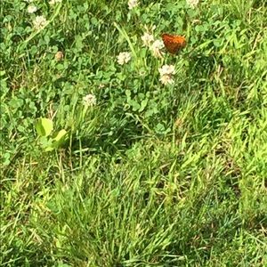 Meet your Posher, Meegan